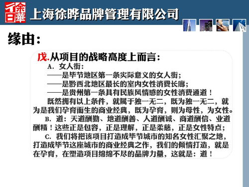 商業(yè)策劃人刀鋒與2013年畢節(jié)金街口項目 一次定位策劃的深度實踐與公關服務啟示